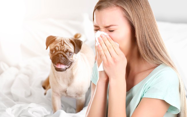 7 alérgenos campeões entre as causas de alergia