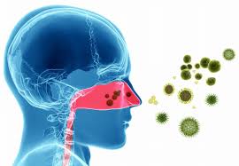 Quem tem alergia respiratória tem mais chances de contrair coronavírus?